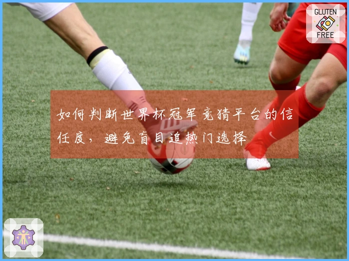 如何判断世界杯冠军竞猜平台的信任度，避免盲目追热门选择