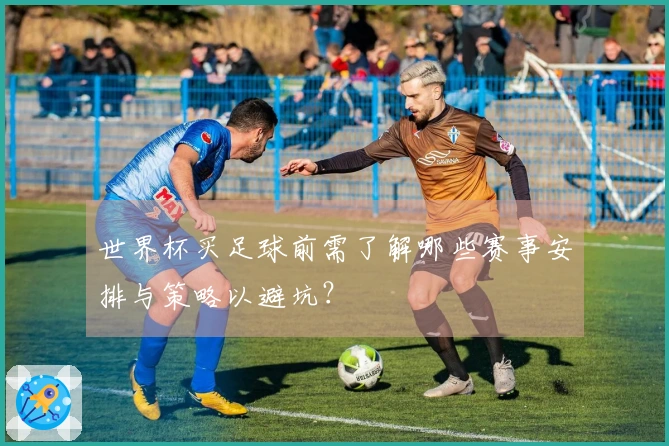 世界杯买足球前需了解哪些赛事安排与策略以避坑？