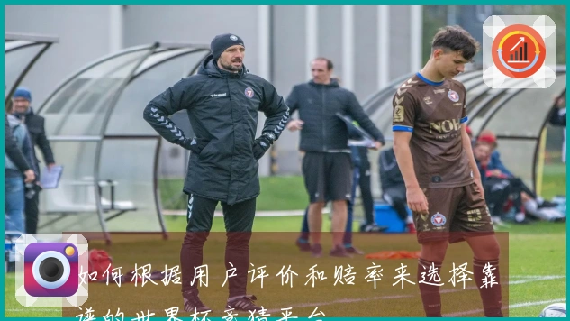 如何根据用户评价和赔率来选择靠谱的世界杯竞猜平台