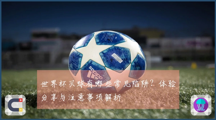 世界杯买球有哪些常见陷阱？体验分享与注意事项解析